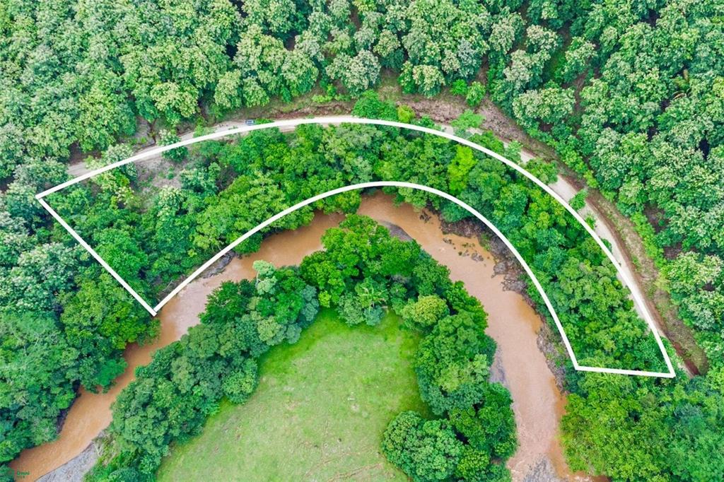 bed Land For Sale in Hojancha, Guanacaste - 1