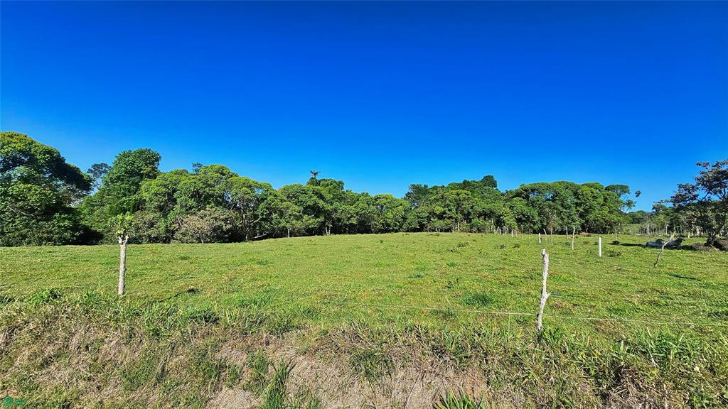  bed Land For Sale in El General, San Jose - 1