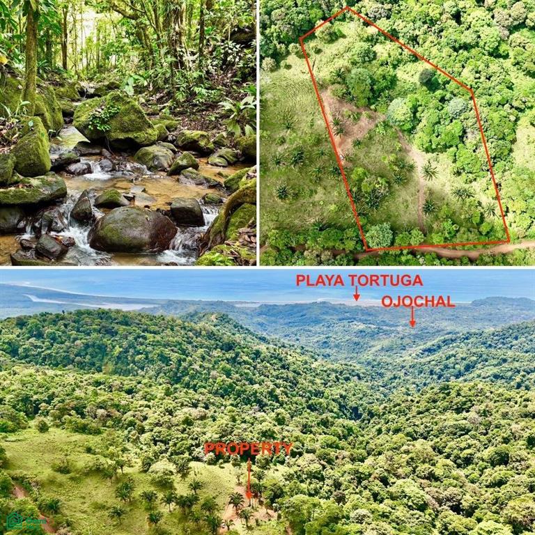 0 bed Land For Sale in Osa, Puntarenas - 1
