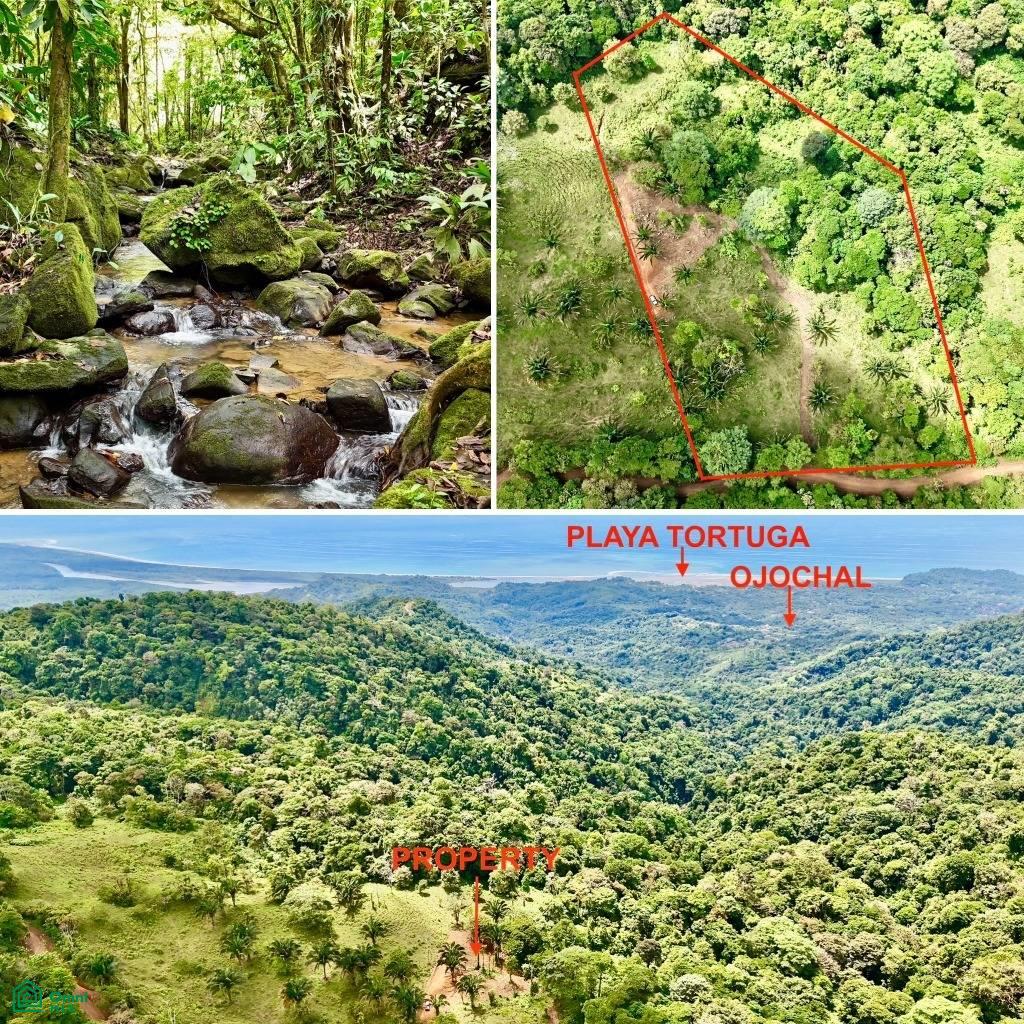 0 bed Land For Sale in Osa, Puntarenas - 1