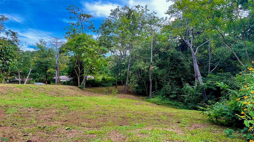  bed Land For Sale in Santa Cruz, Guanacaste - 1