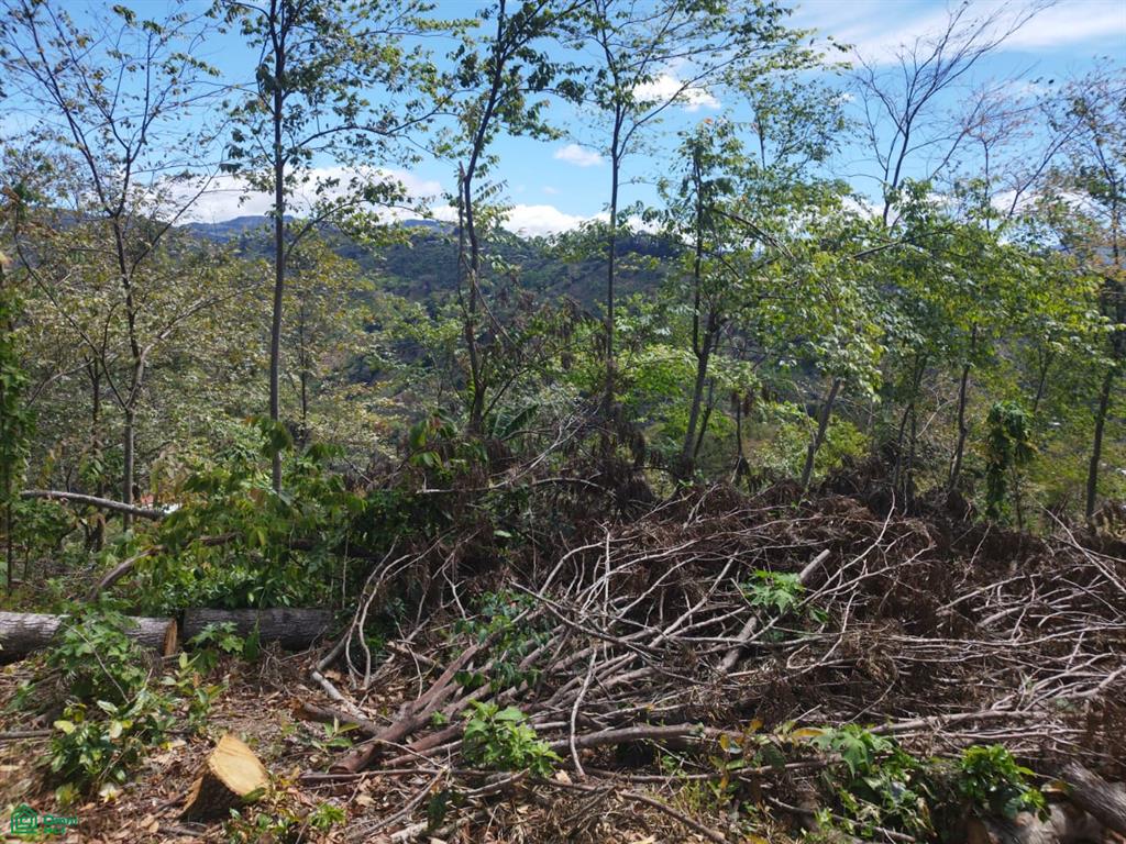  bed Land For Sale in Desamparados, San Jose - 1