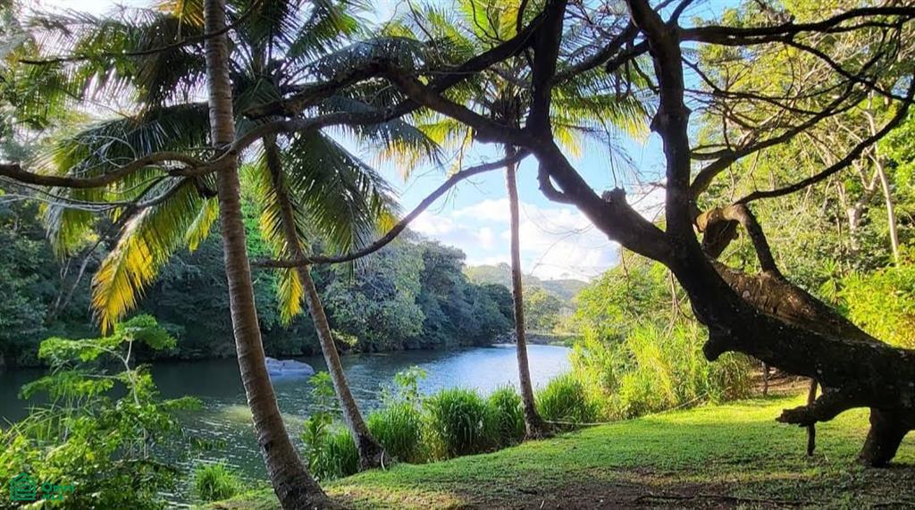  bed Property For Sale in La Cruz, Guanacaste - 1