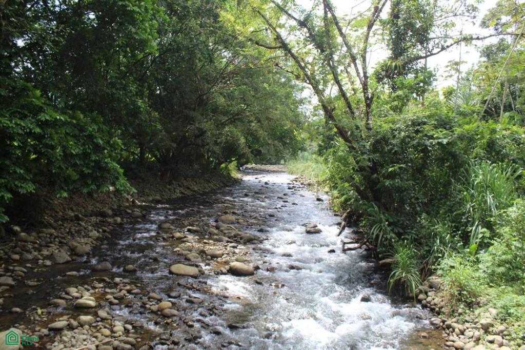 0 bed Land For Sale in San Ramón, Alajuela - 1
