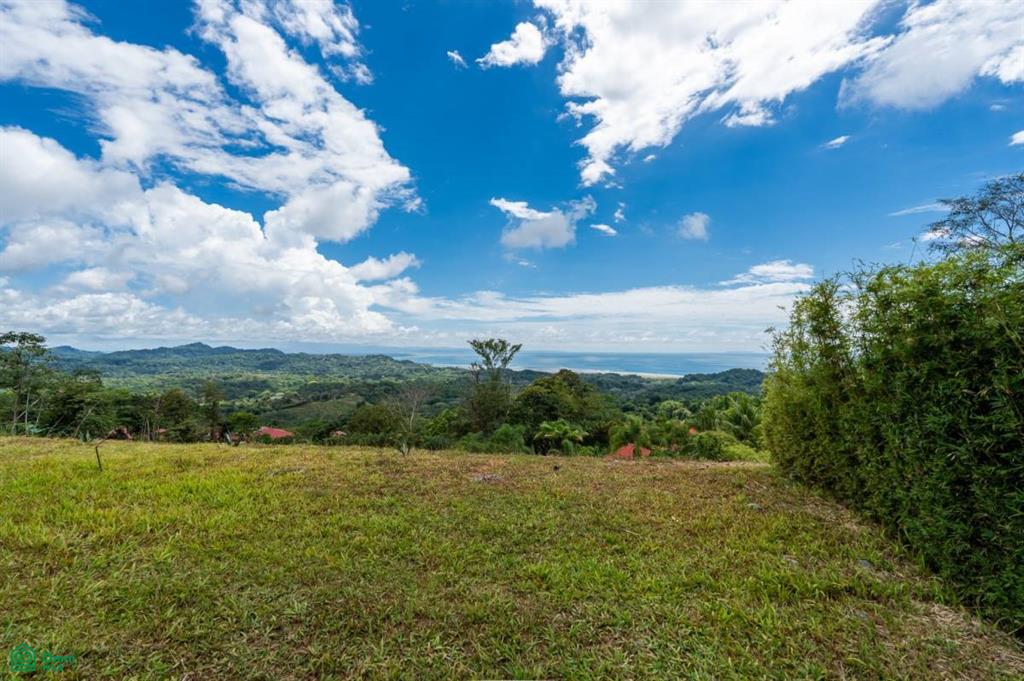 0 bed Land For Sale in Osa, Puntarenas - 1