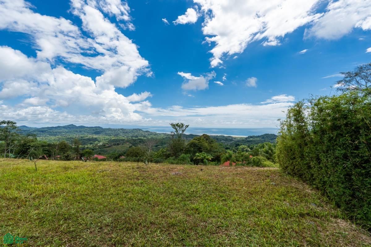 0 bed Land For Sale in Osa, Puntarenas - 1