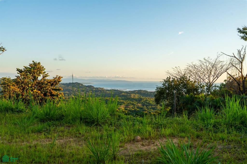 0 bed Land For Sale in Osa, Puntarenas - 1