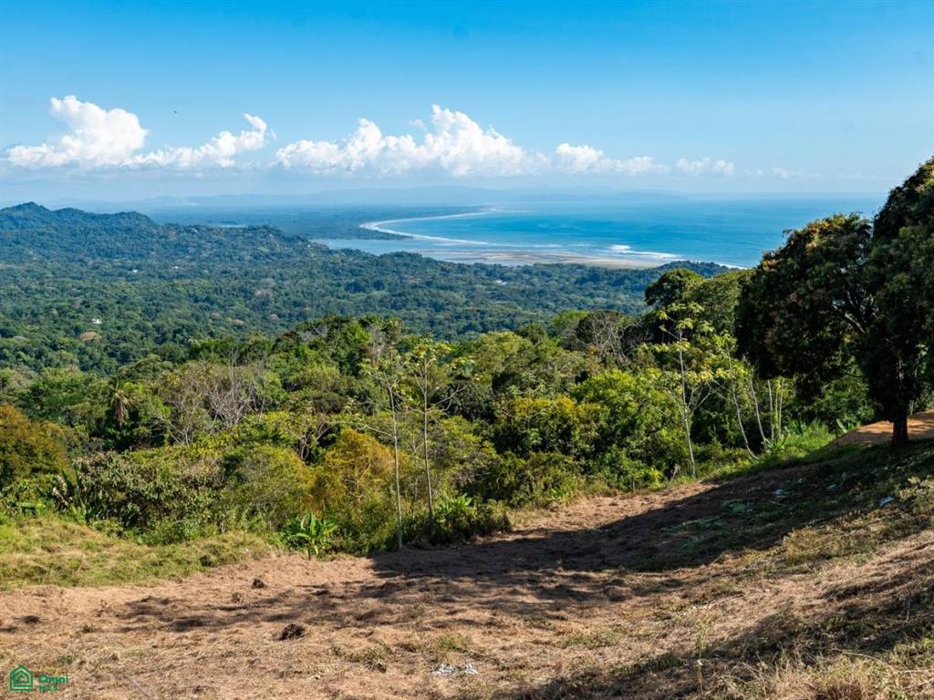0 bed Land For Sale in Osa, Puntarenas - 1