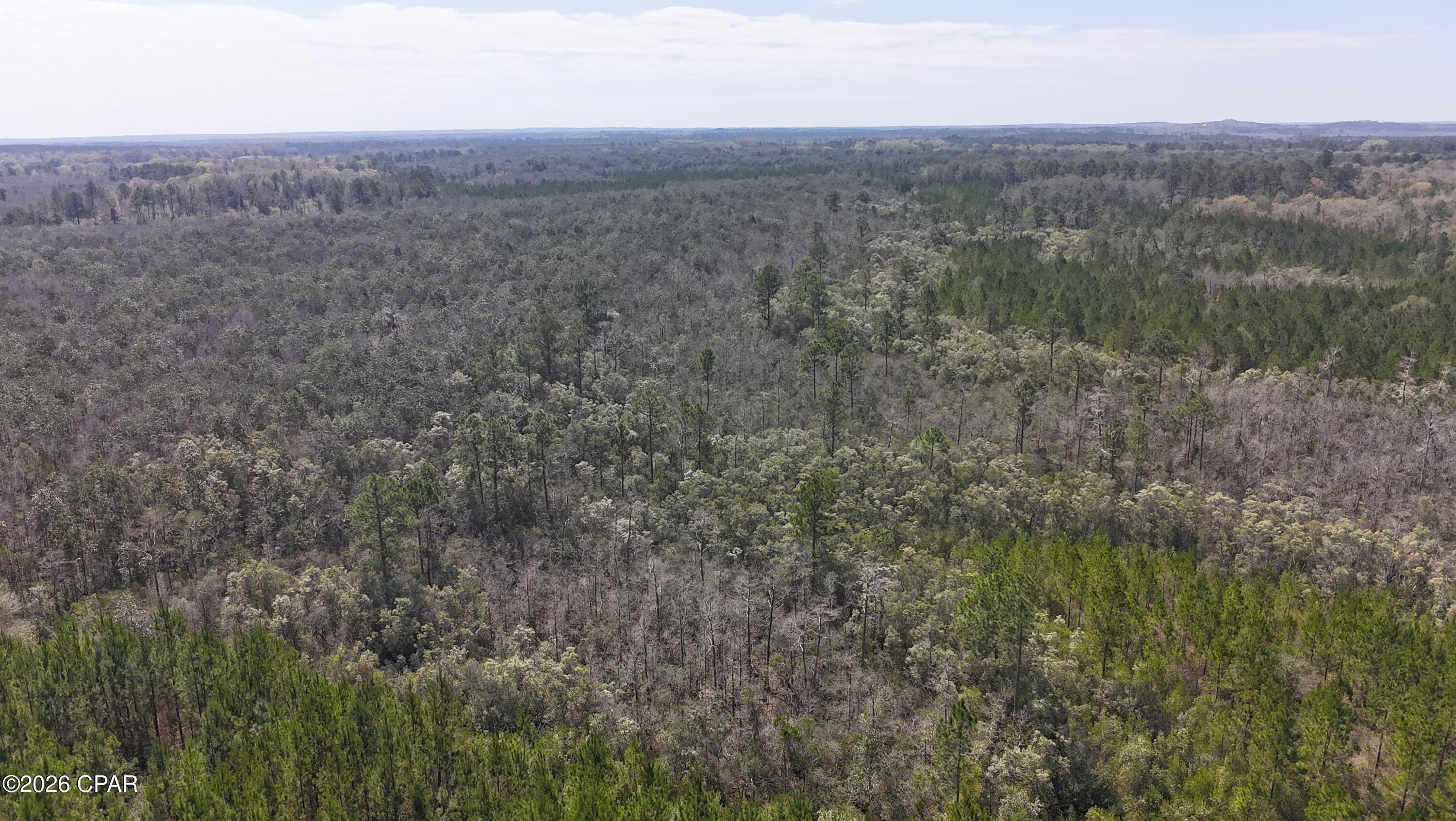 6th image of Tract6416 N Brock Rd #N40, Caryville, FL 32427 | MLS# 786870