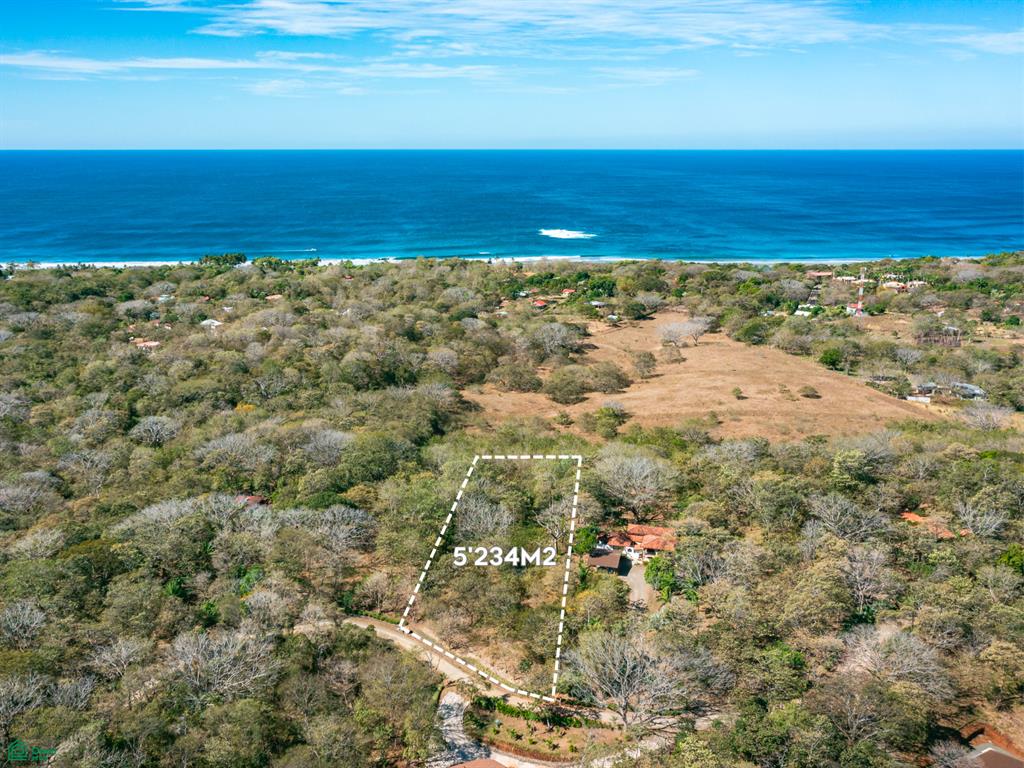  bed Land For Sale in Santa Cruz, Guanacaste - 1