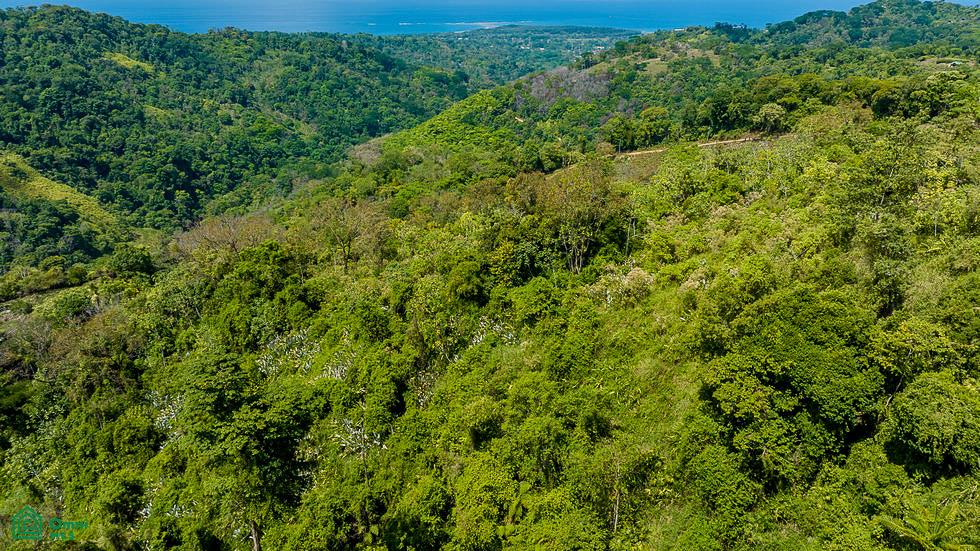  bed Land For Sale in Osa, Puntarenas - 1