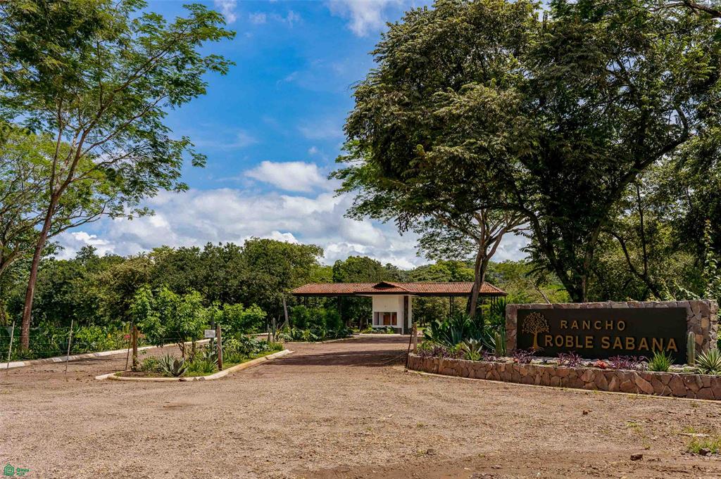  bed Land For Sale in Santa Cruz, Guanacaste - 1