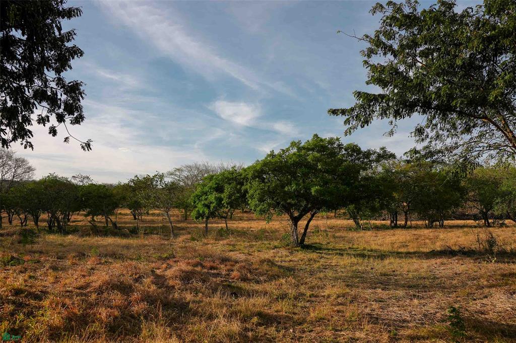  bed Land For Sale in Santa Cruz, Guanacaste - 1