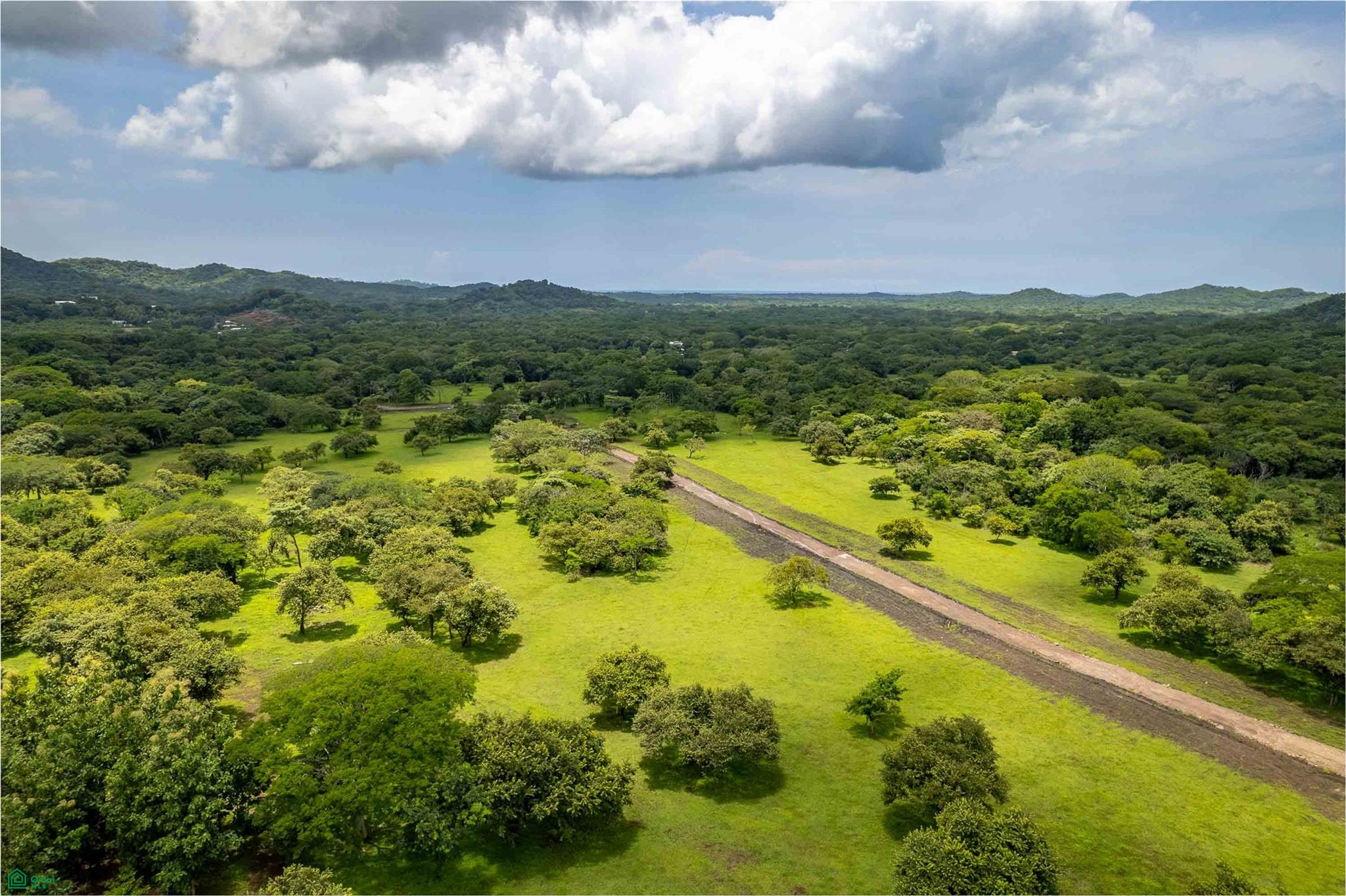 bed Land For Sale in Santa Cruz, Guanacaste - 1