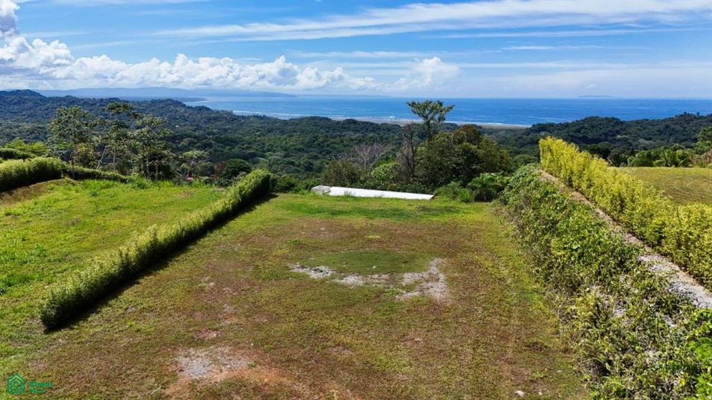 0 bed Land For Sale in Osa, Puntarenas - 1