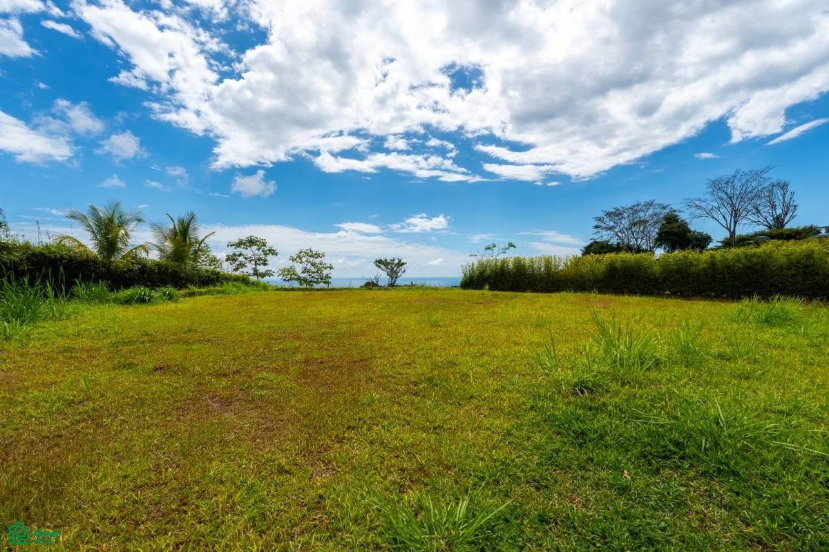 0 bed Land For Sale in Osa, Puntarenas - 1