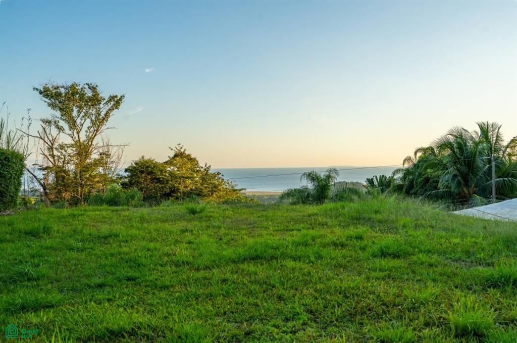 0 bed Land For Sale in Osa, Puntarenas - 1