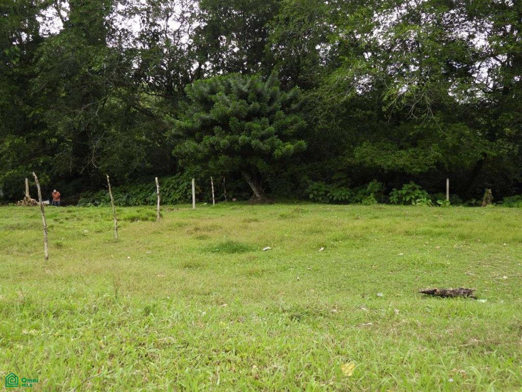 0 bed Land For Sale in Turrialba, Cartago - 1