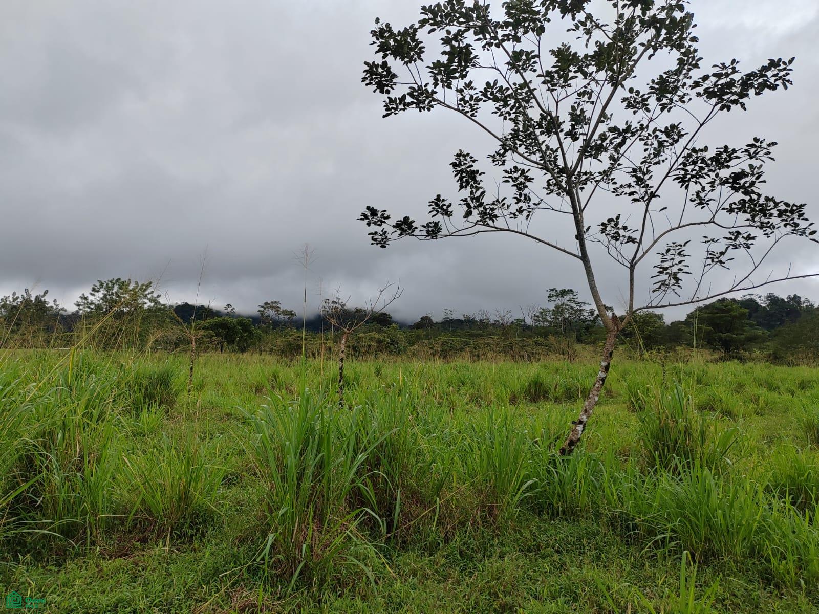 4 bed Single Family Homes For Sale in Guatuso, Alajuela - 1
