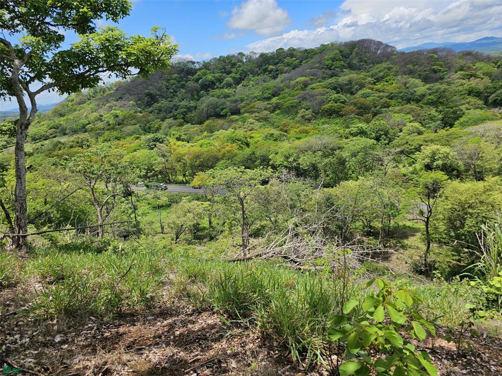  bed Land For Sale in Guatuso, Alajuela - 1