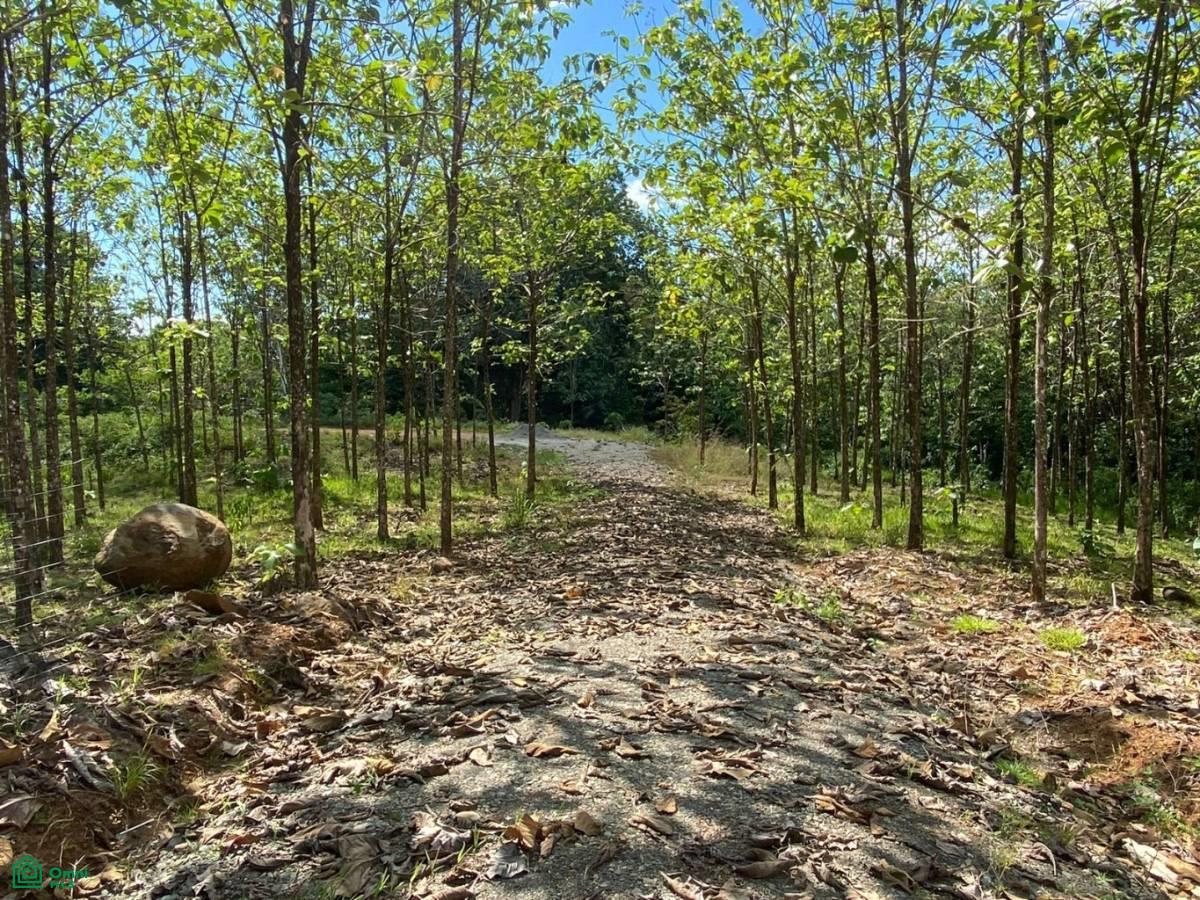 0 bed Land For Sale in , Puntarenas - 1