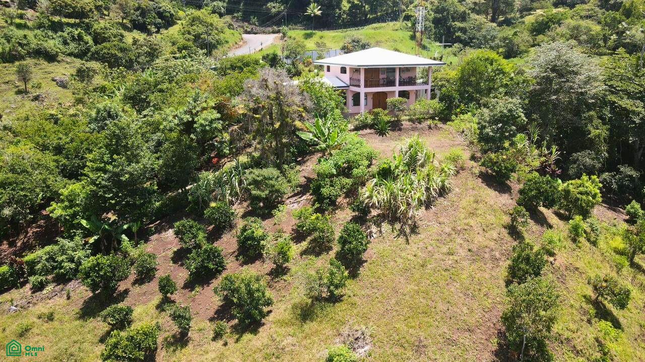  bed Land For Sale in Cartago, Cartago - 1