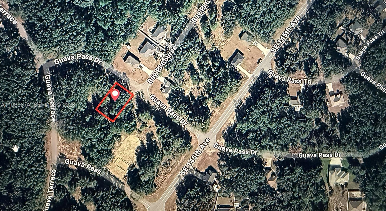 Silver Springs Shores