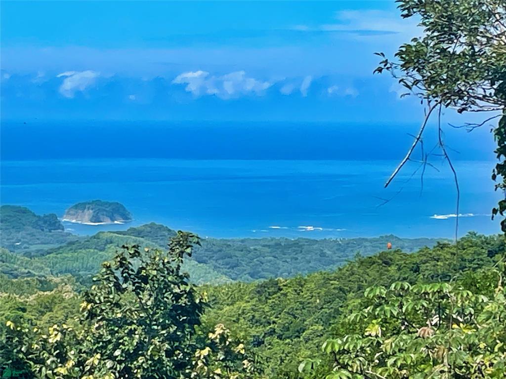  bed Land For Sale in Hojancha, Guanacaste - 1