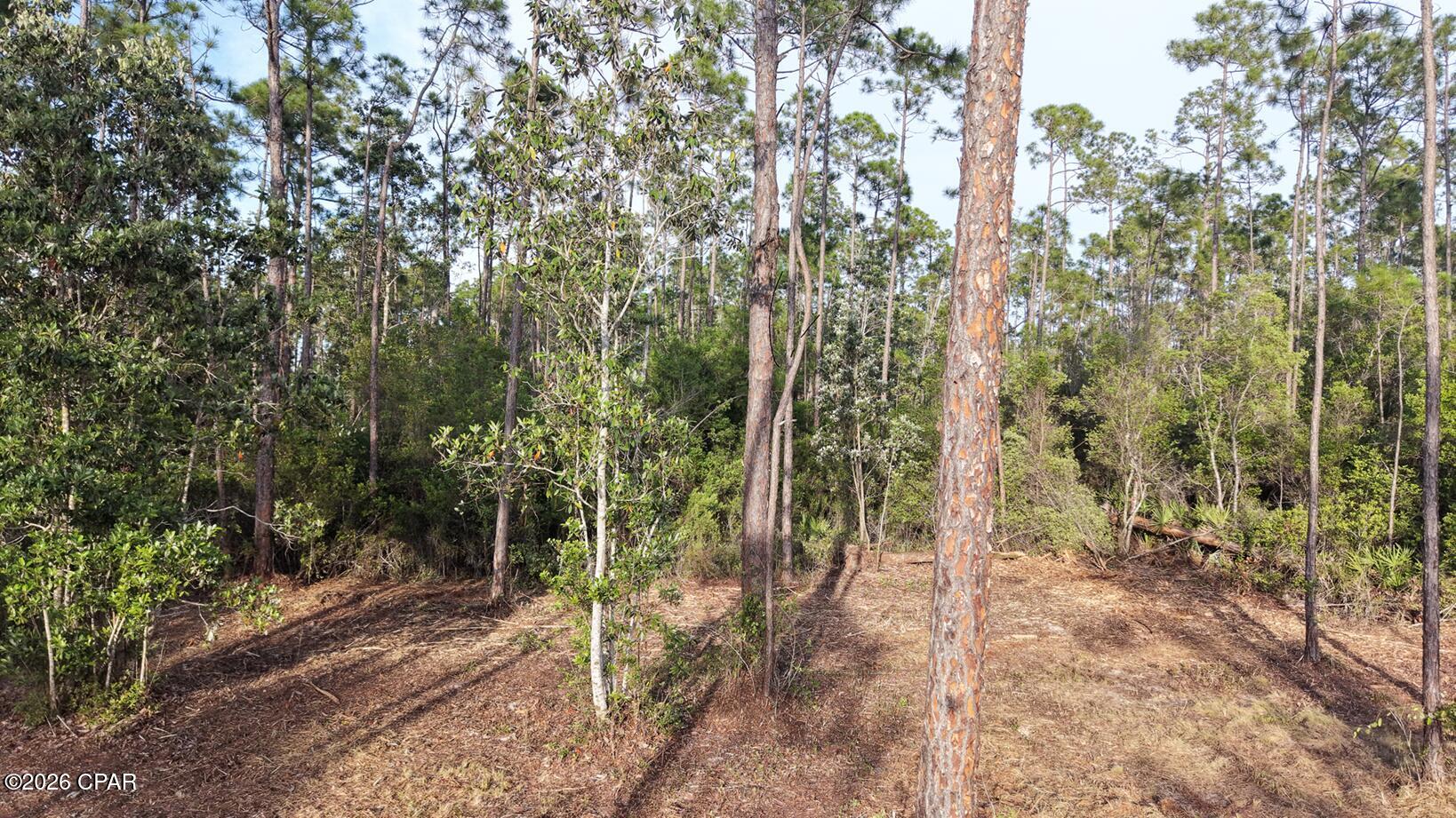 Image 3 For 917 Watermark Way