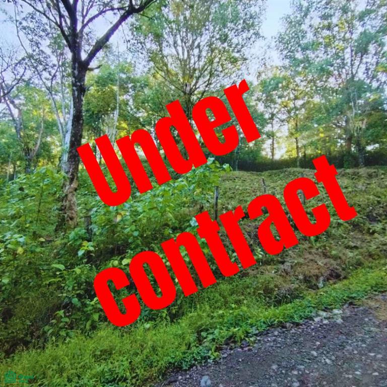 0 bed Land For Sale in Osa, Puntarenas - 1