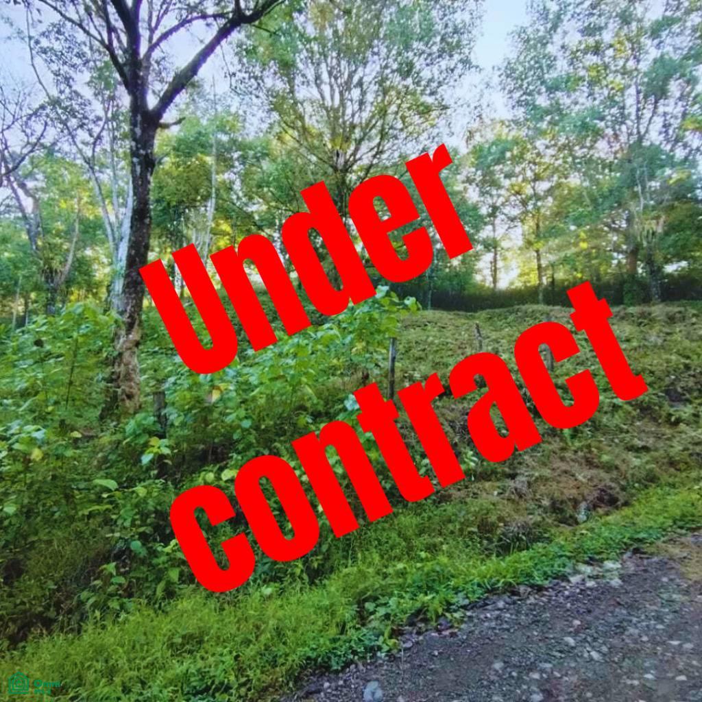 0 bed Land For Sale in Osa, Puntarenas - 1