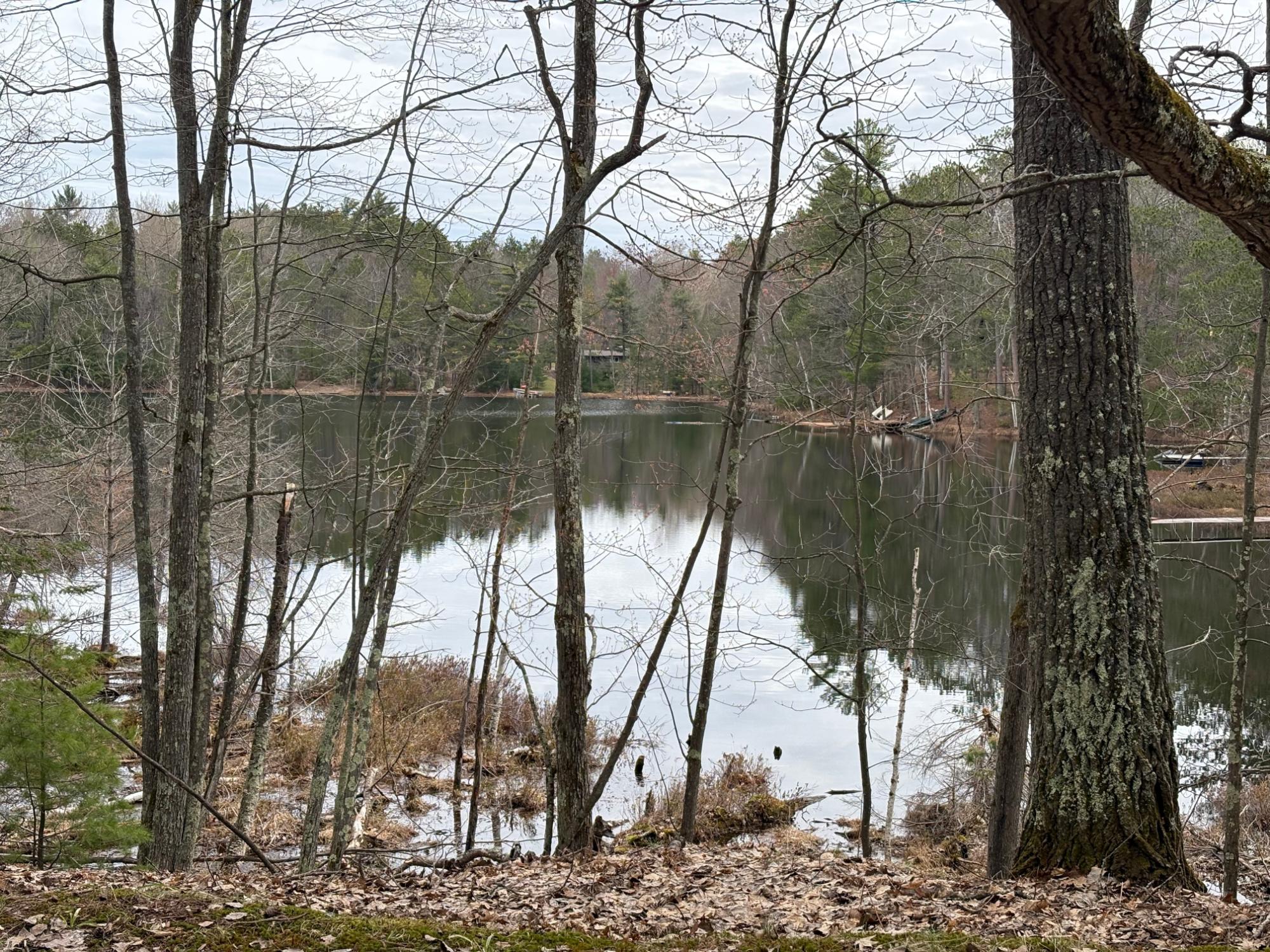 Undocumented Lake Property 7768 Hiawatha Cr Photo 10
