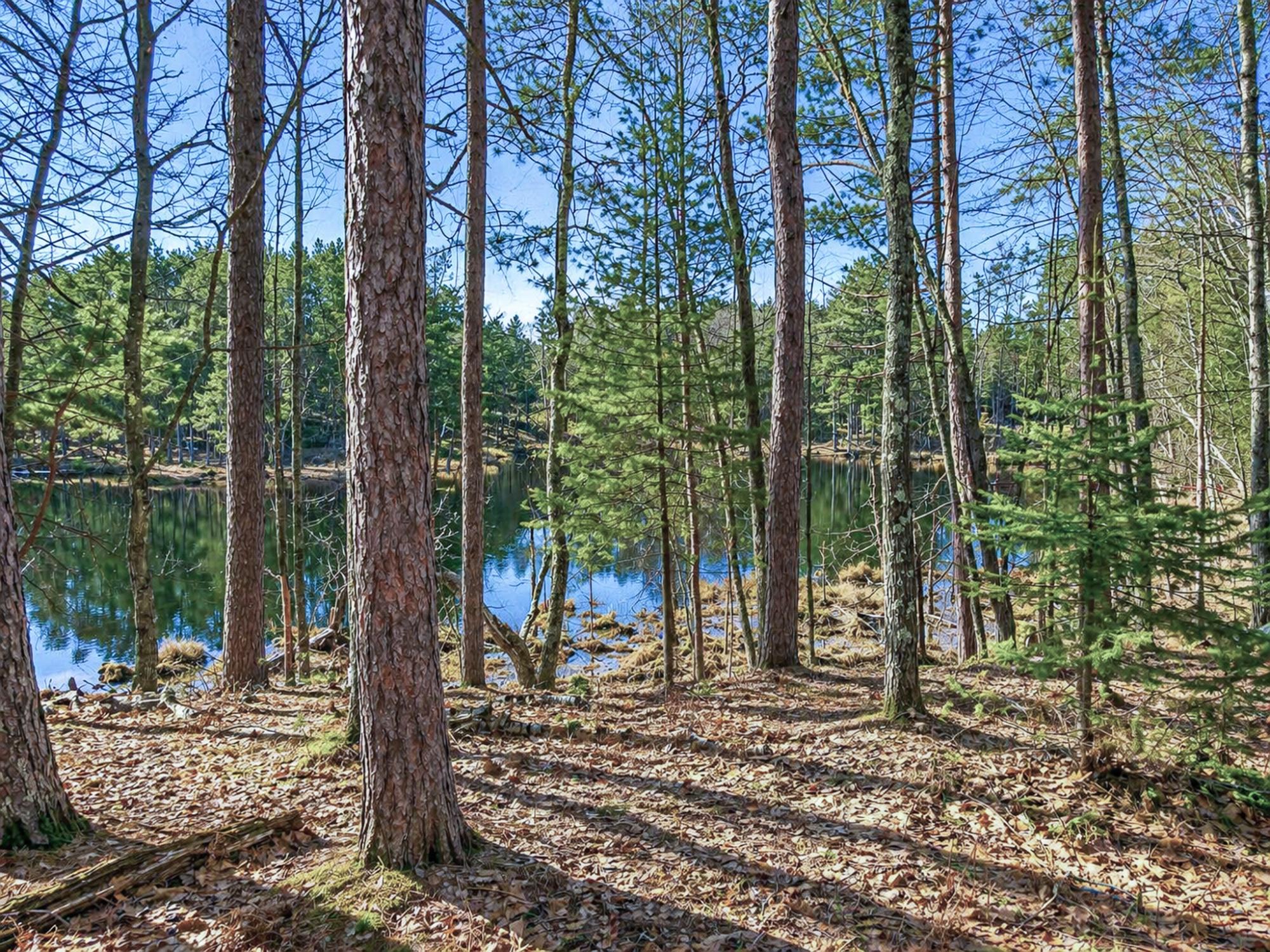 Undocumented Lake Property 7768 Hiawatha Cr Photo 2