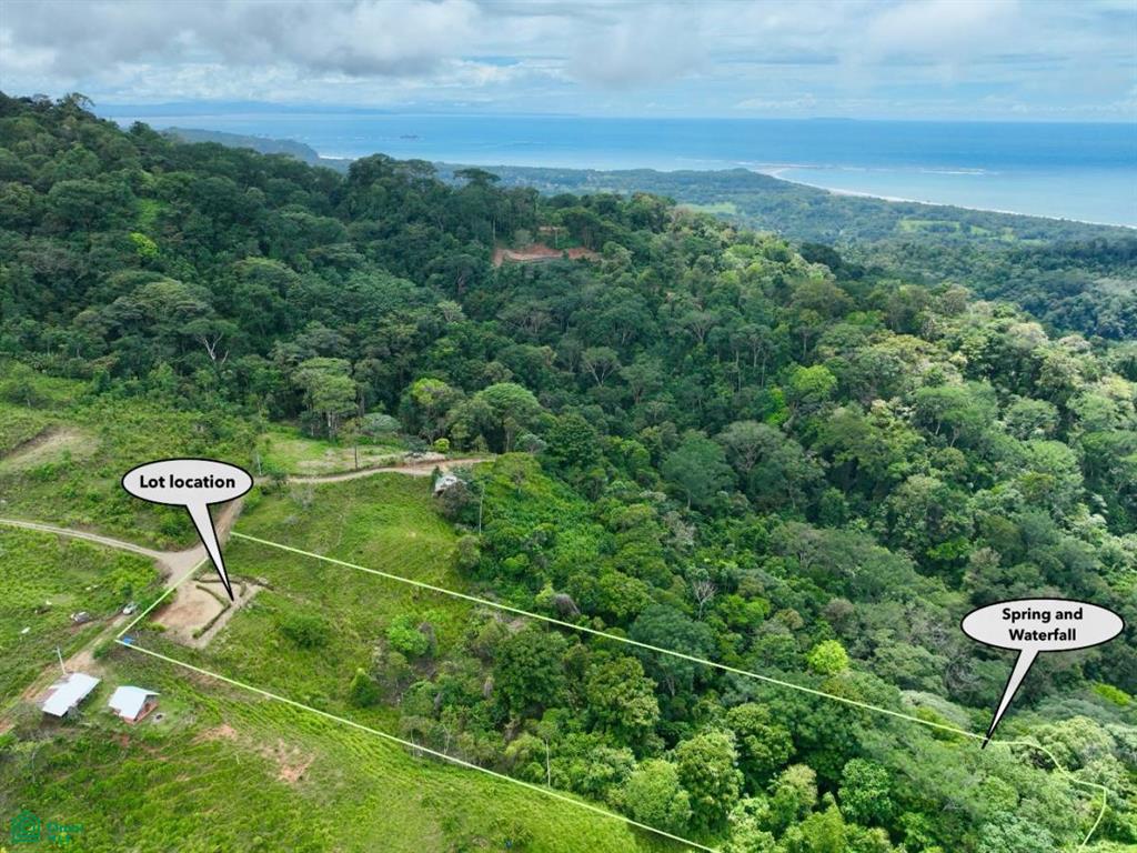 0 bed Land For Sale in Osa, Puntarenas - 1