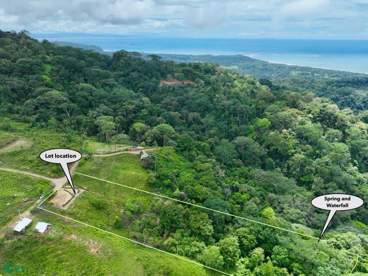 0 bed Land For Sale in Osa, Puntarenas - 1