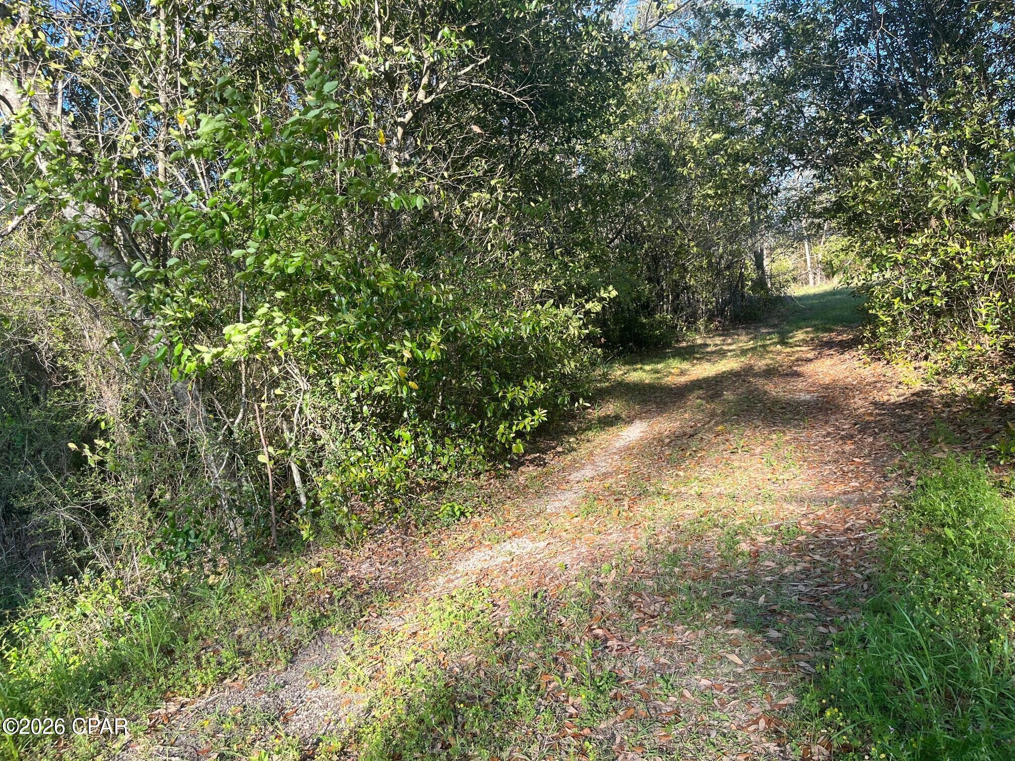 2nd image of 00 Main St, Grand Ridge, FL 32442 | MLS# 787190