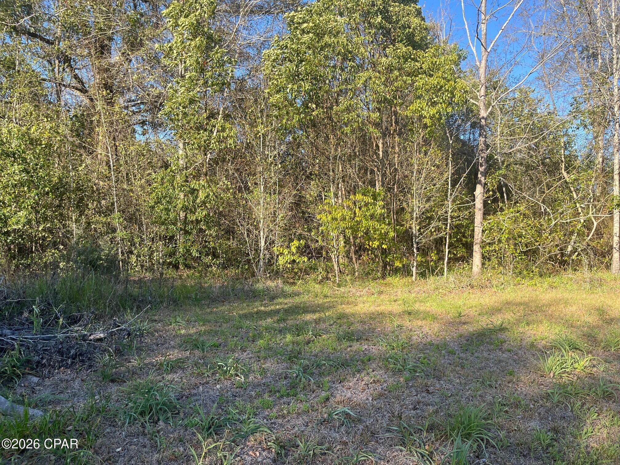 3rd image of 00 Main St, Grand Ridge, FL 32442 | MLS# 787190