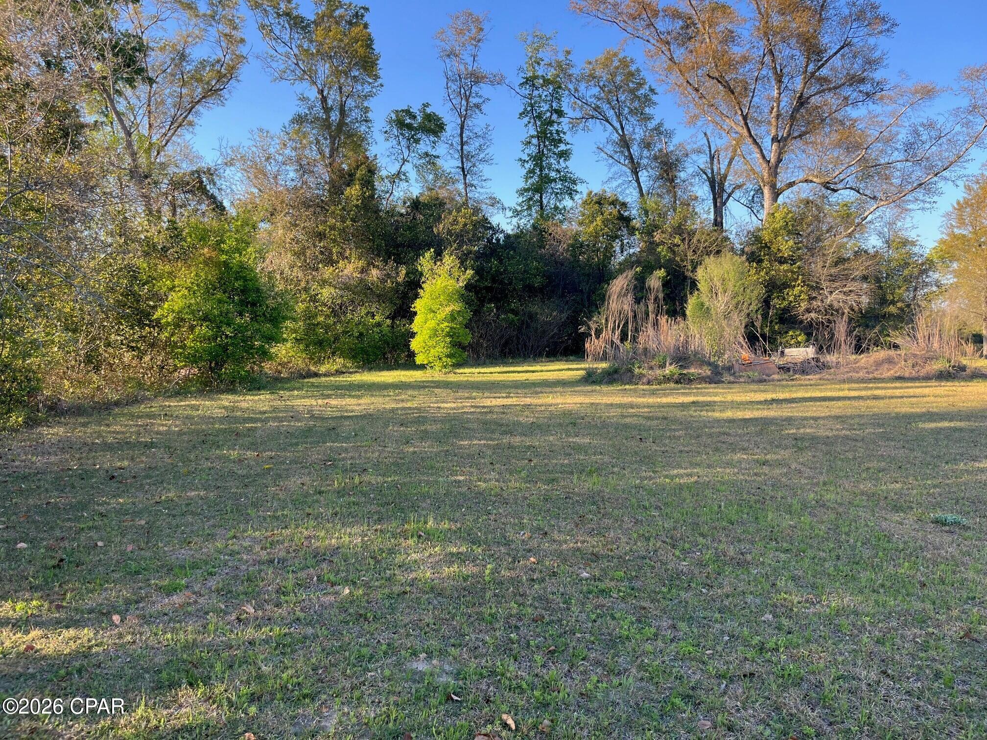 4th image of 00 Main St, Grand Ridge, FL 32442 | MLS# 787190