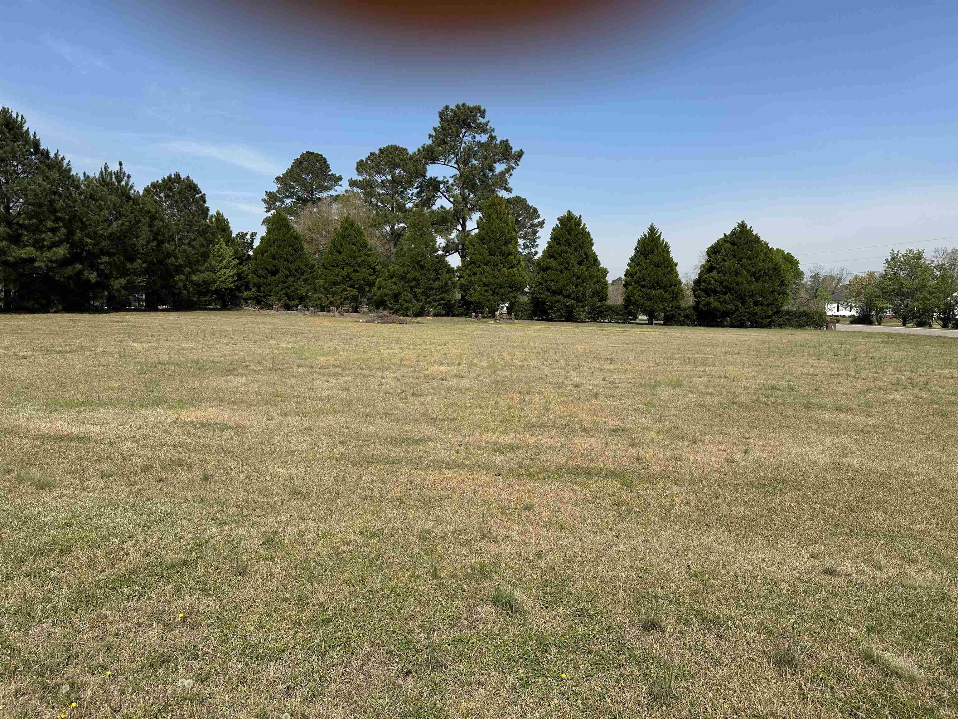 100 Ole Nobleman Ct. Conway, SC 29527