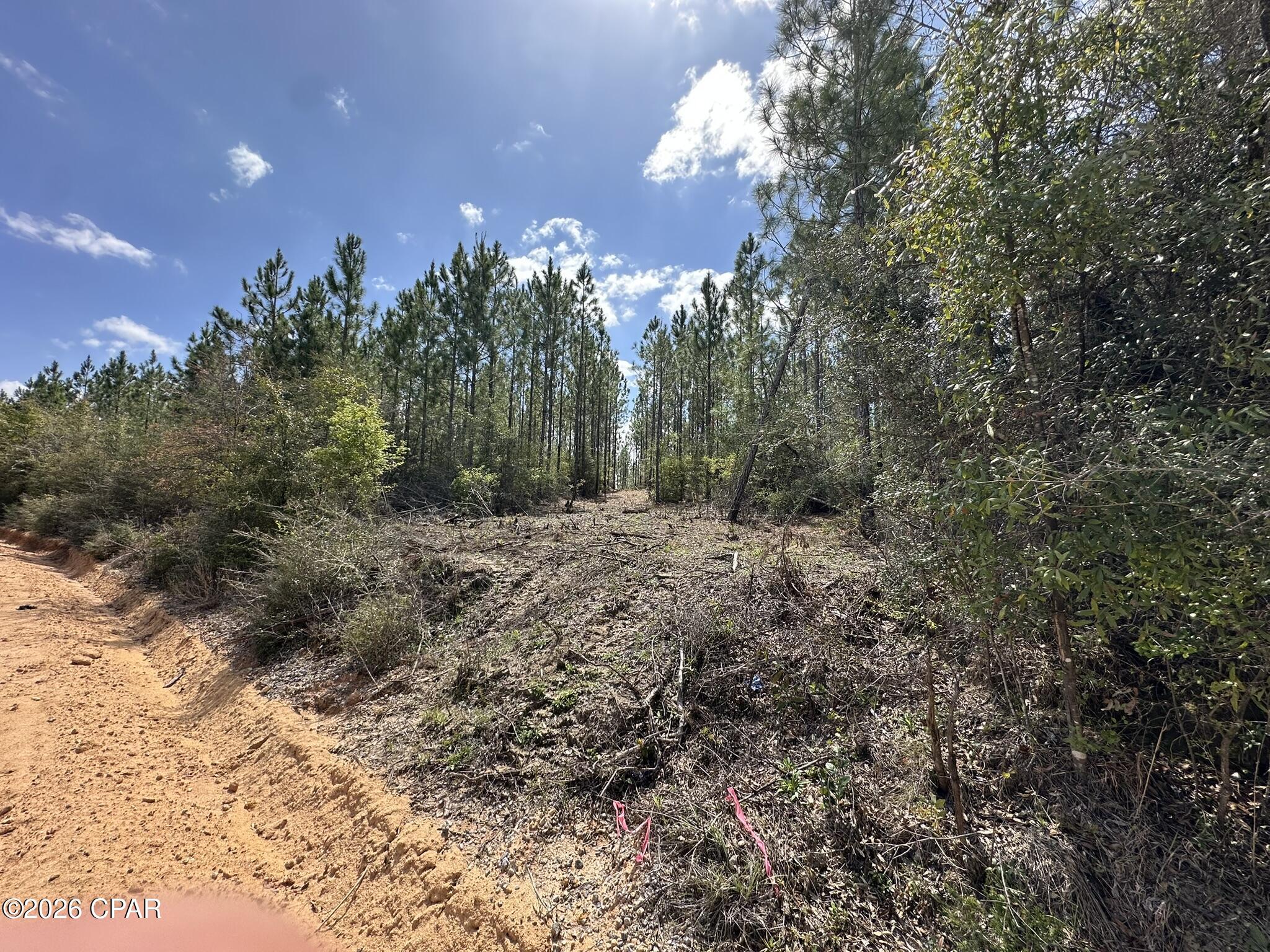 2nd image of Tract#6418 Mattox Springs Rd #S3, Caryville, FL 32427 | MLS# 787240