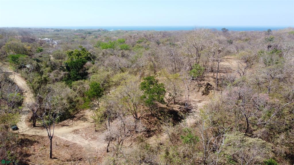  bed Land For Sale in Santa Cruz, Guanacaste - 1
