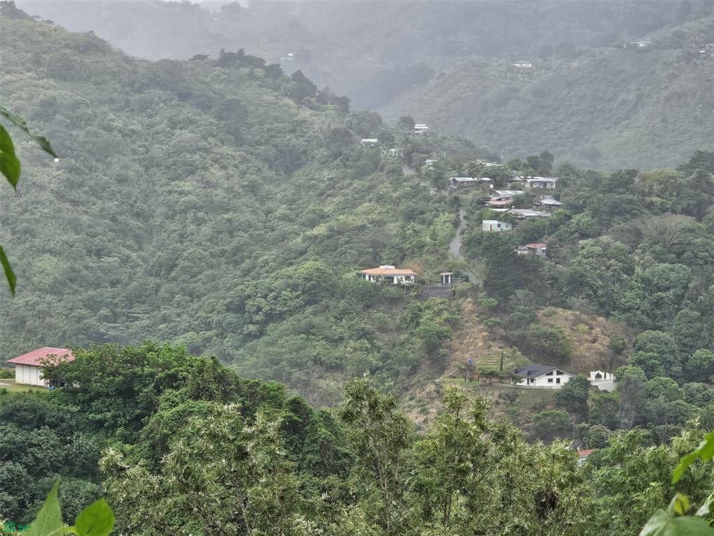  bed Land For Sale in Desamparados, San Jose - 1