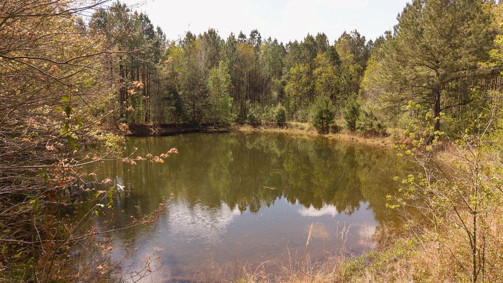 2nd image of 43162 La 38 Hwy, Franklinton, LA 70438 | MLS# 2549281