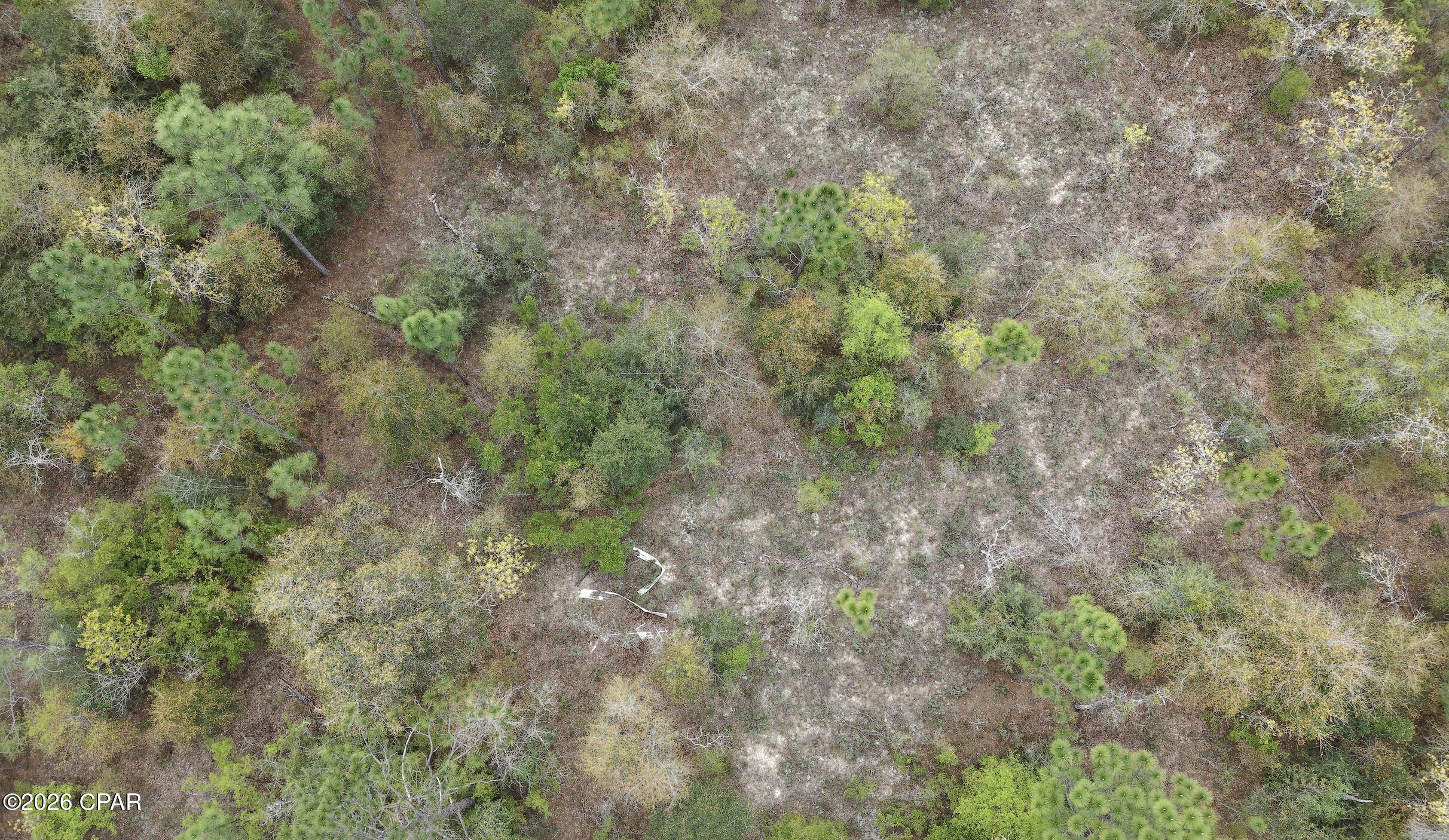 4th image of 000 Darlington Dr, Chipley, FL 32428 | MLS# 787376