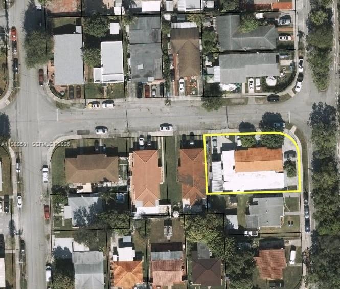 Tamiami Pines