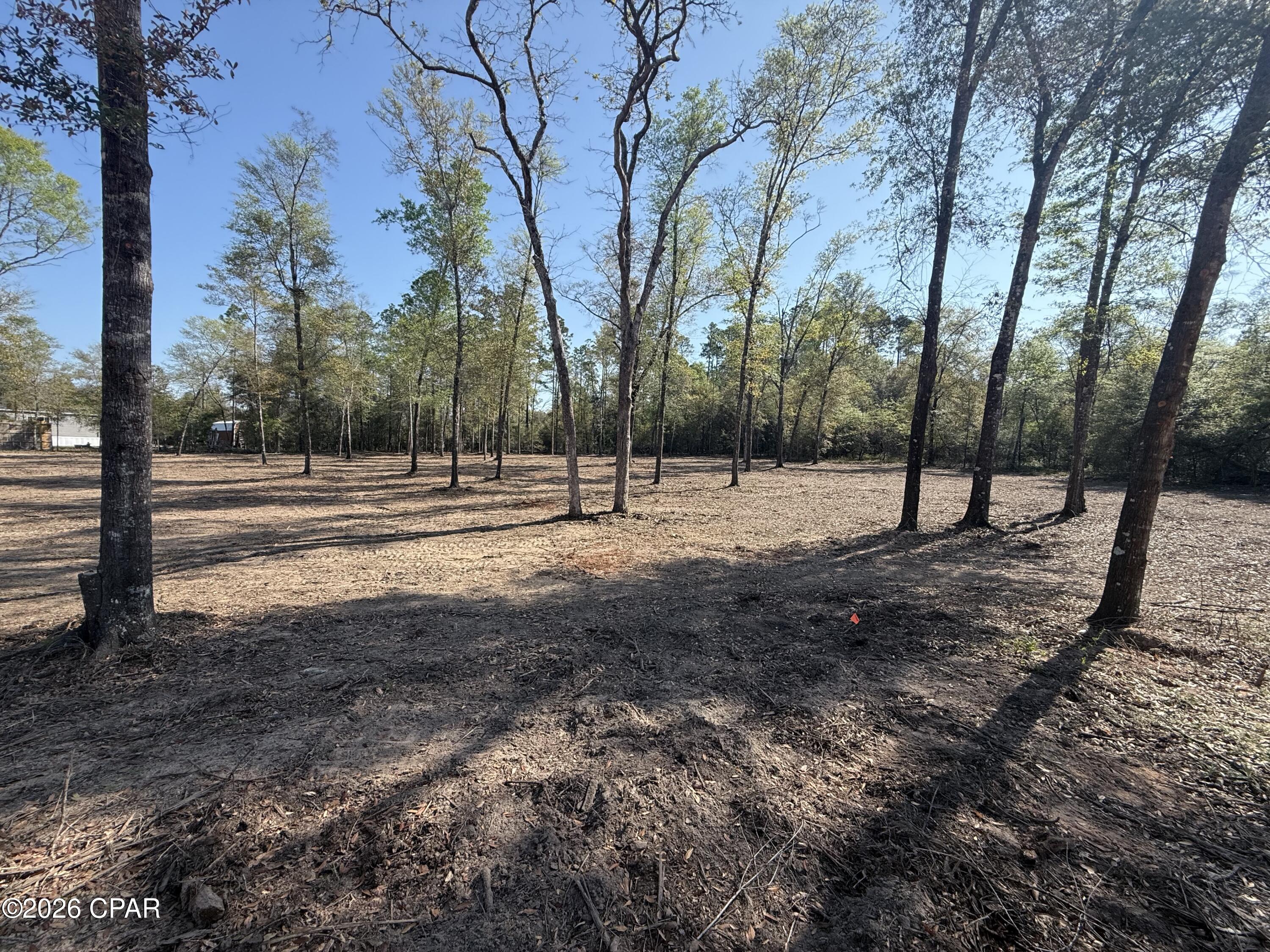 2nd image of Tbd Silver Lake N, Marianna, FL 32448 | MLS# 787440