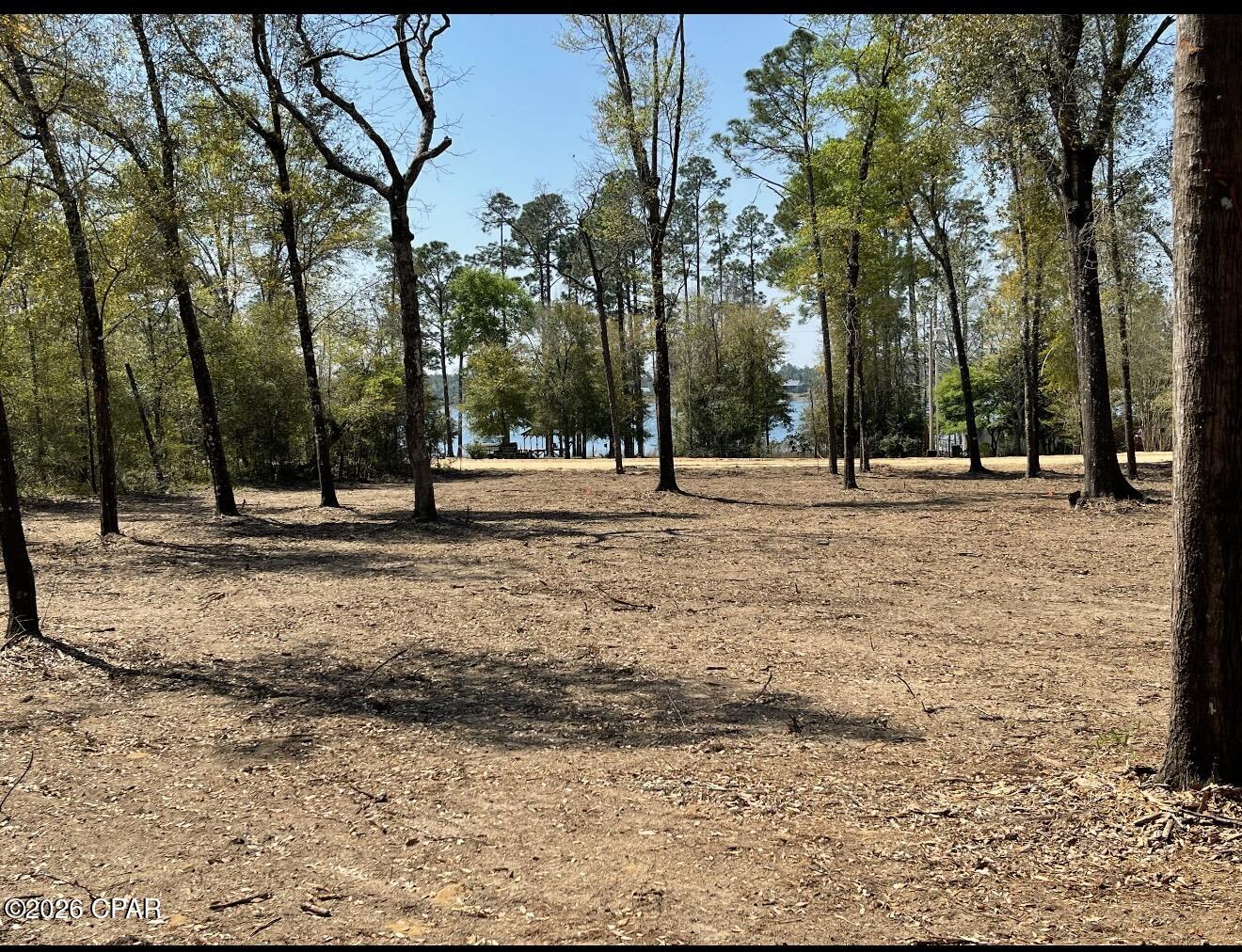 4th image of Tbd Silver Lake N, Marianna, FL 32448 | MLS# 787440