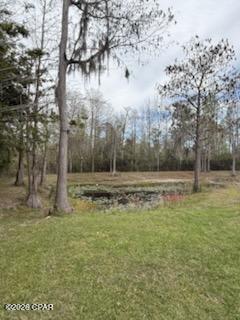 Image 5 For 6605 Bolivia Street