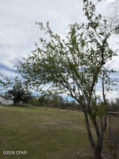 Image 9 For 6605 Bolivia Street