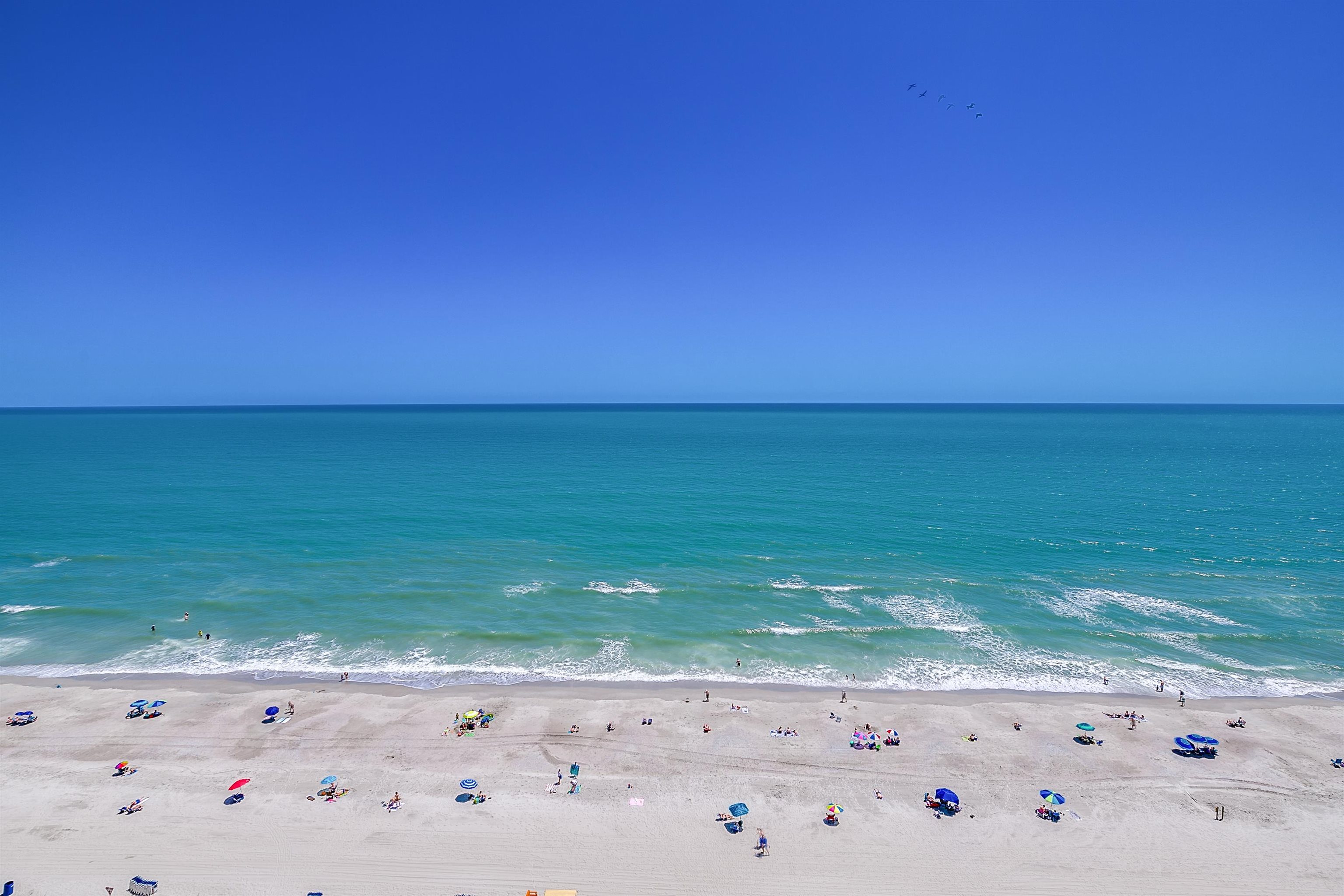 2607994 | Photo 60